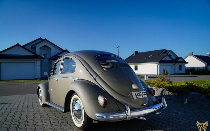 Volkswagen Garbus cena 179000 przebieg: 73845, rok produkcji 1956 z Ostrzeszów małe 742